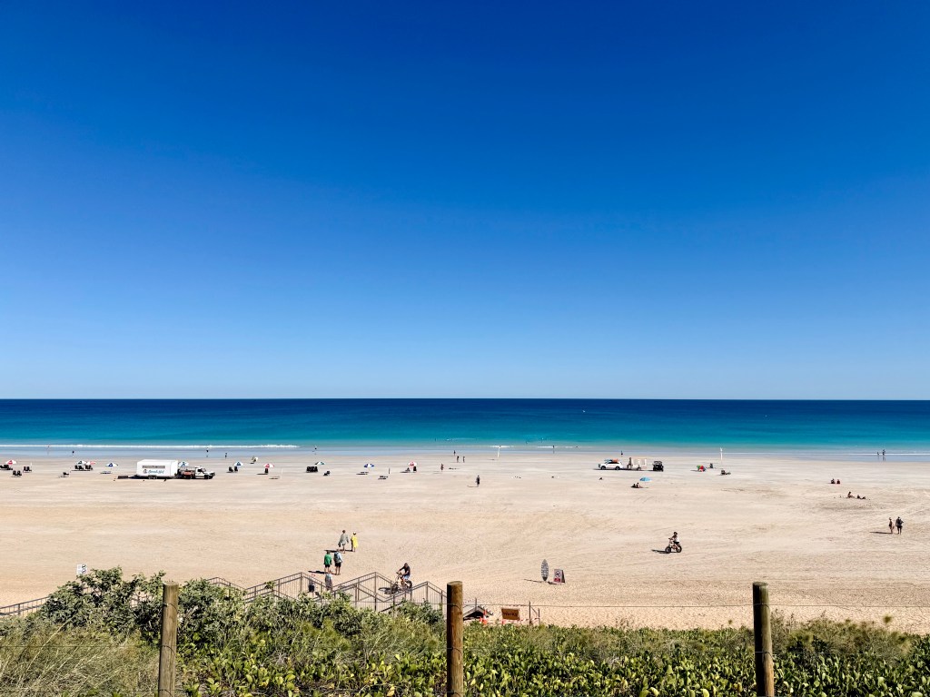 Back to the Ocean – Issue&nbsp;18